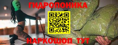 прущие грибы Кингисепп