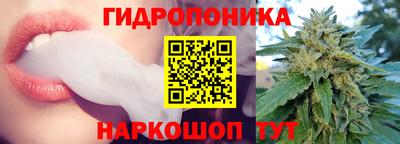 прущие грибы Кингисепп