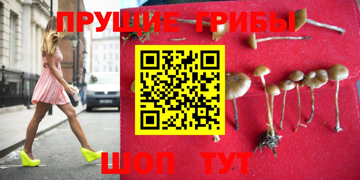 Саранск  Псилоцибиновые грибы GOLDEN TEACHER  Псилоцибиновые грибы ЛСД  Вход с VPN 