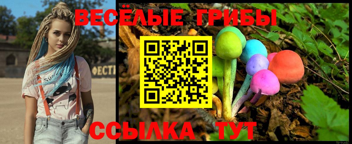 Галлюциногенные грибы GOLDEN TEACHER Саранск